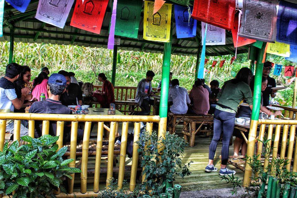 Photo of Musicathon – A Music Festival in the Mountains 8/10 by Disha Chatterjee