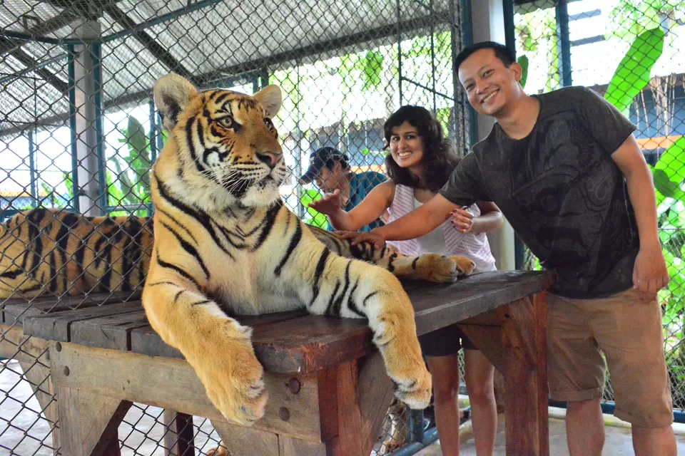 Photo of Pattaya City, Bang Lamung District, Chon Buri, Thailand by Nayana Phukan
