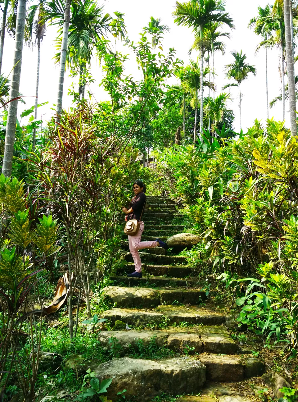 Photo of Mawlynnong, Meghalaya, India by Nayana Phukan