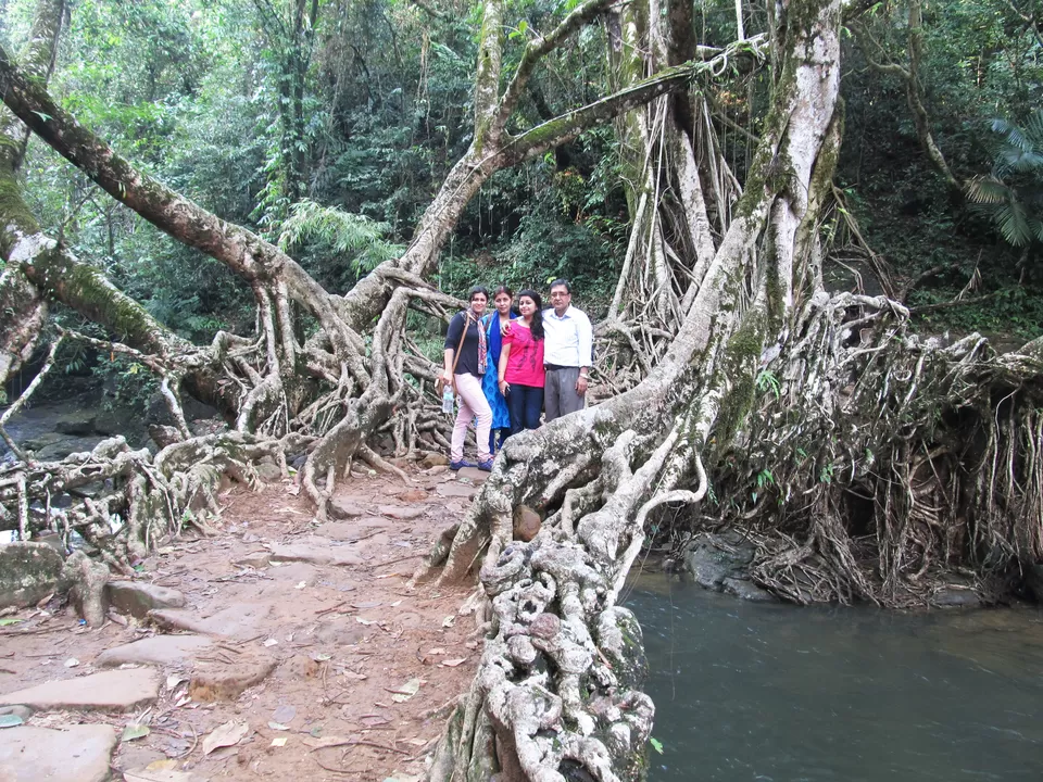 Photo of Living Root Bridge, Meghalaya, India by Nayana Phukan