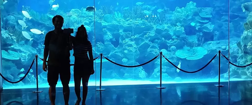 Photo of Kuala Lumpur, Federal Territory of Kuala Lumpur, Malaysia by Nayana Phukan