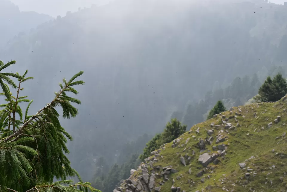 Photo of Dainkund Peak, Rakhed, Himachal Pradesh by A GALLIVANT