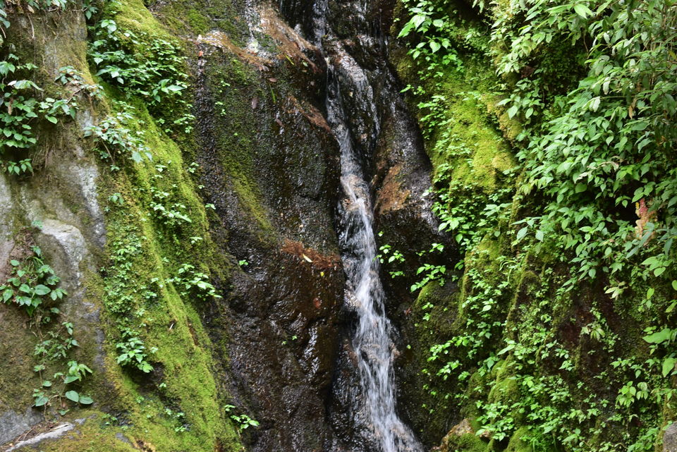Photo of Panchpula, Pathankot Road, Chatryara, Himachal Pradesh, India by A GALLIVANT