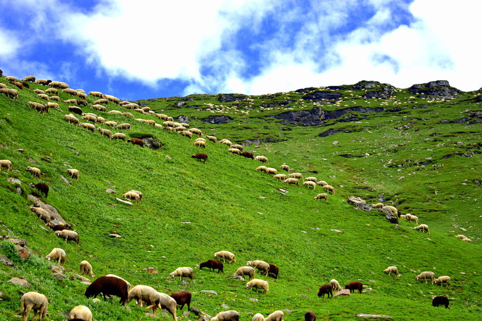 Photo of Until the Horizon #TripotoClicksHimalayas 1/1 by ANUJA RAWAT