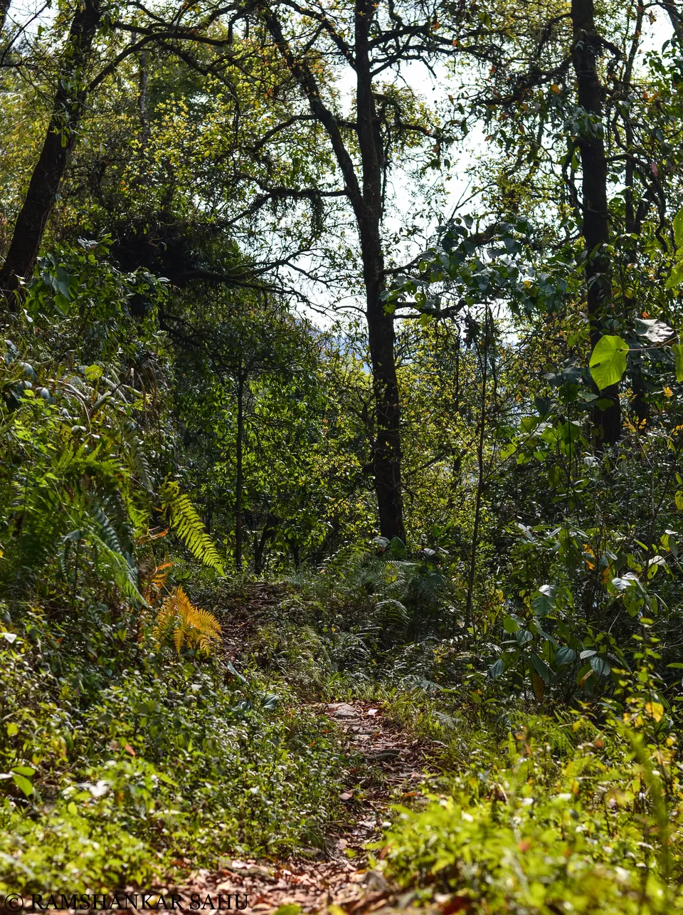 Photo of Mulkharka Lake Trek: introduction to solo thing. by Ramshankar Sahu