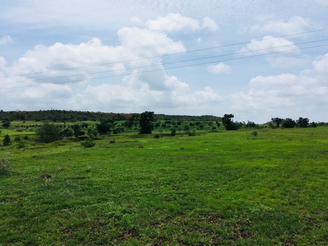 Photo of Day tripping: Hyderabad to Bidar !! 2/8 by Sanya Saraswat