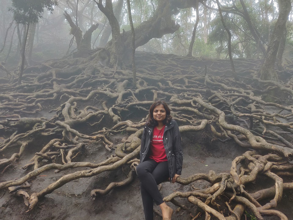 Photo of Kodaikanal, Tamil Nadu, India by Rashmi G