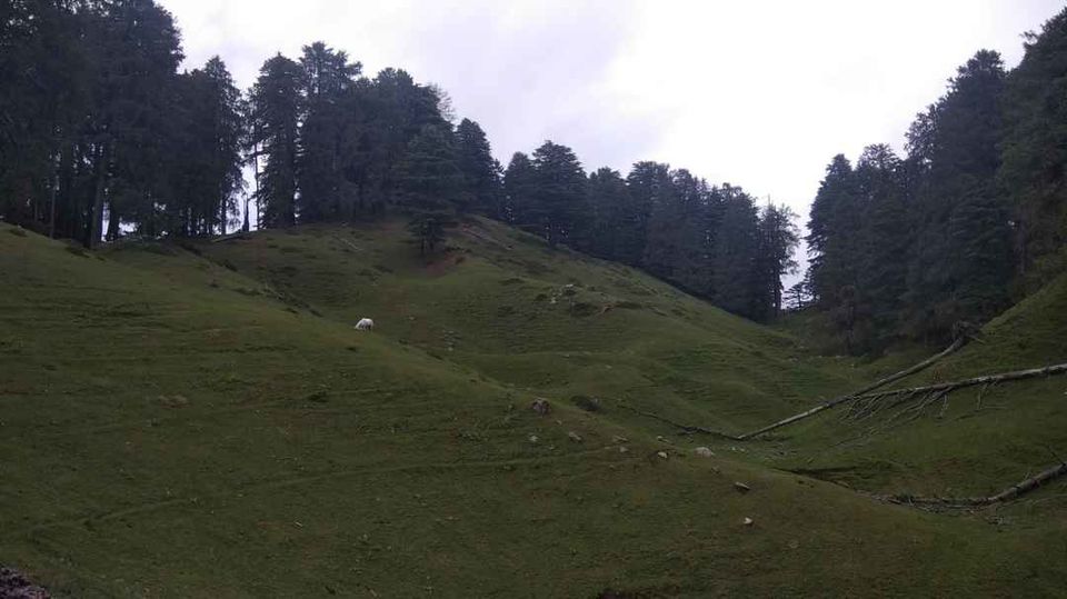 Photo of Happy Holiday :Chakrata UK by Nimish Garg