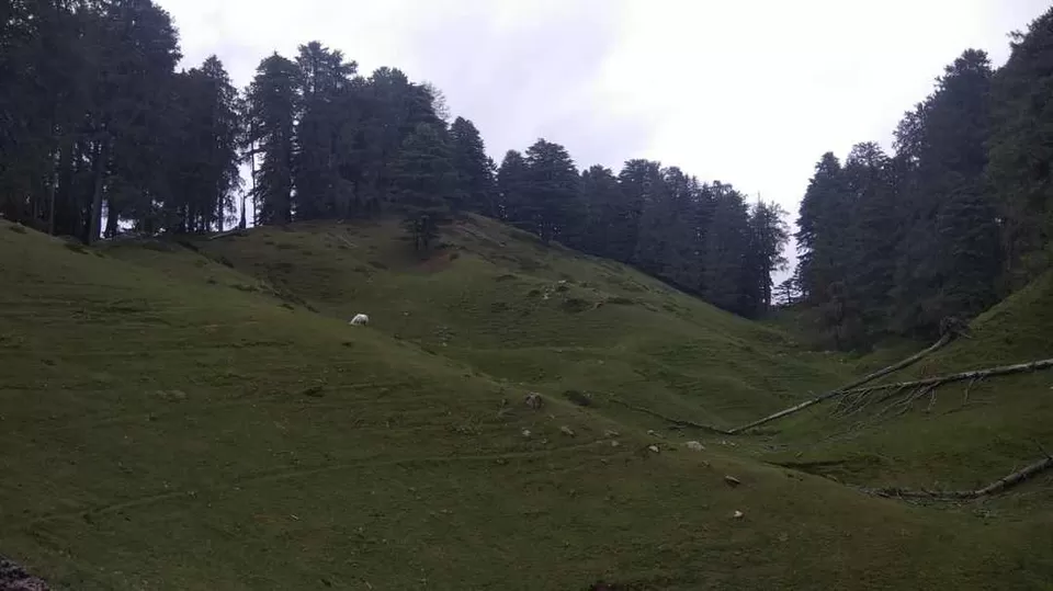 Photo of Happy Holiday :Chakrata UK by Nimish Garg