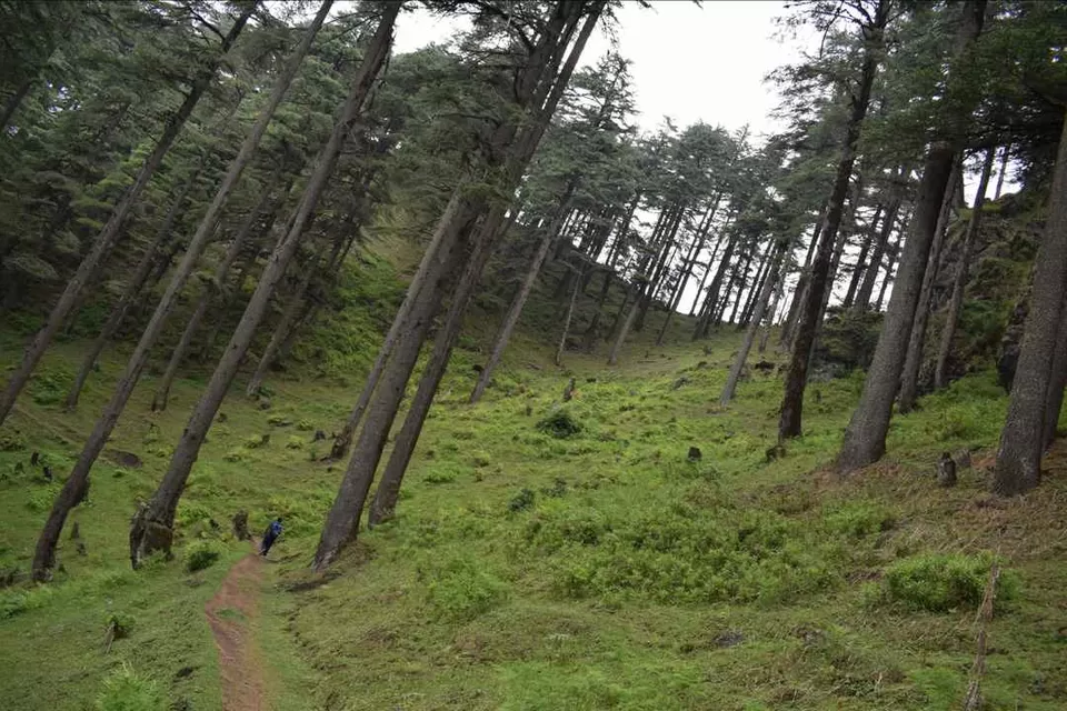 Photo of Happy Holiday :Chakrata UK by Nimish Garg