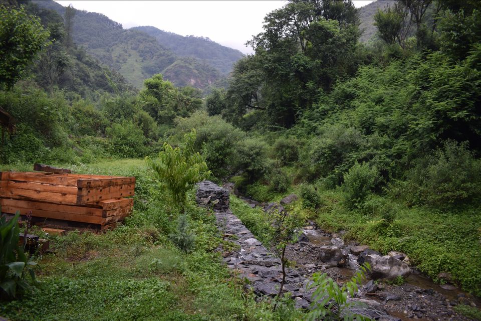 Photo of Happy Holiday :Chakrata UK by Nimish Garg