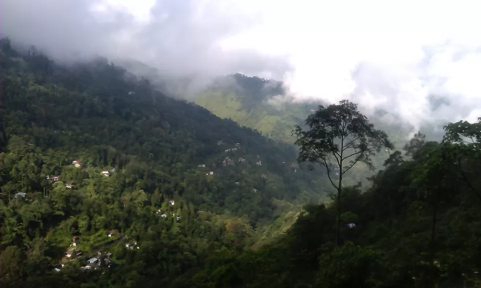 Photo of Darjeeling - A short trip to the "Queen of Hills" by Mrinmoy Koley
