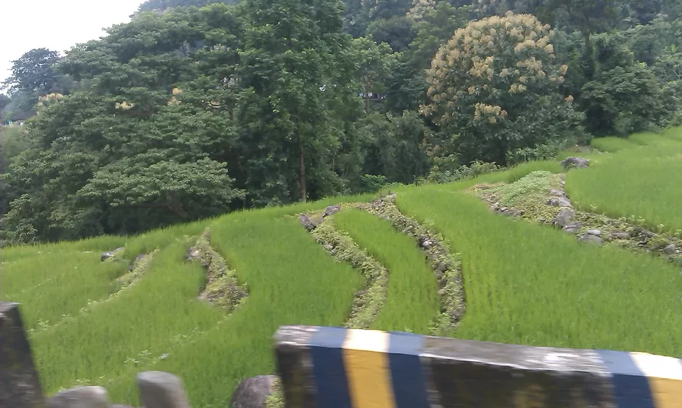 Photo of Darjeeling - A short trip to the "Queen of Hills" by Mrinmoy Koley