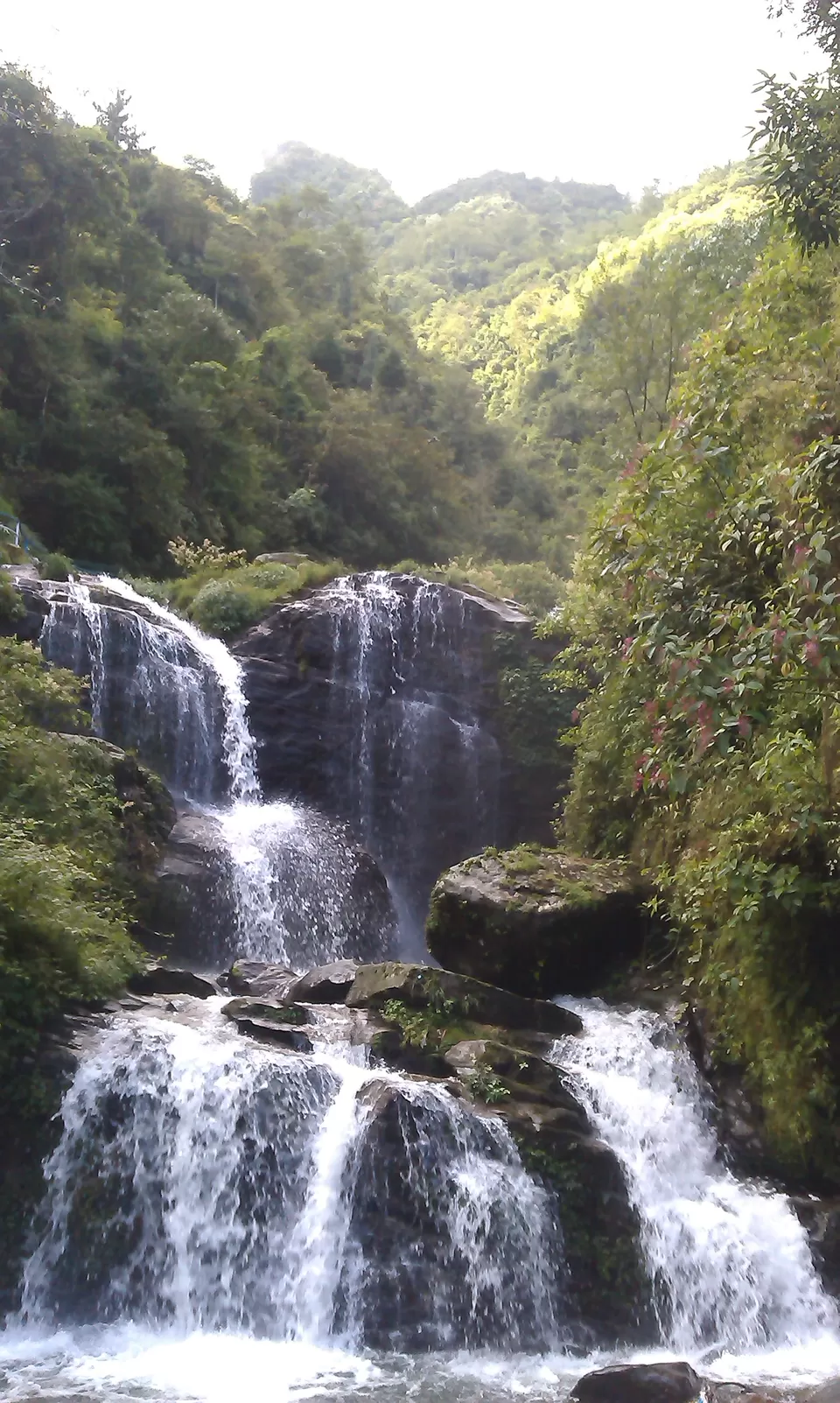Photo of Darjeeling - A short trip to the "Queen of Hills" by Mrinmoy Koley