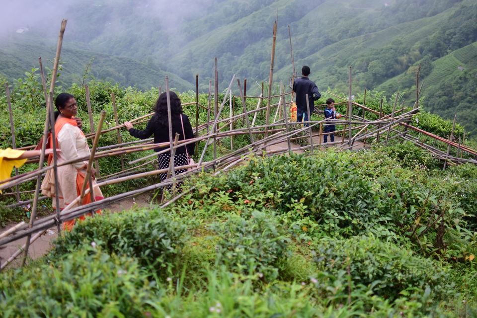 Photo of Padmaja Naidu Zoological Gardens, Jawahar Parbat, Darjeeling, West Bengal, India by Jinty Rajkhowa