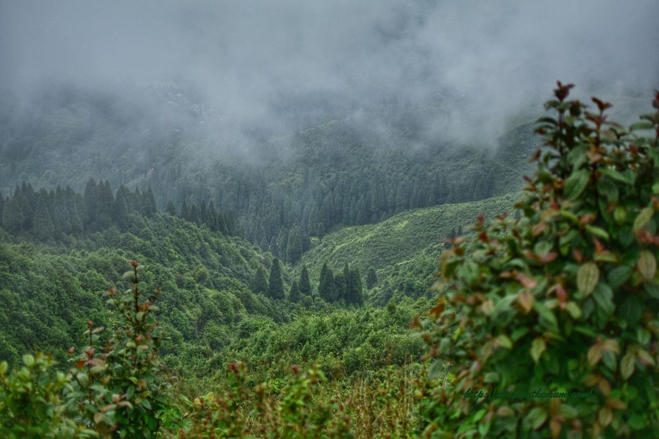 Photo of Exploring Darjeeling... by Jinty Rajkhowa