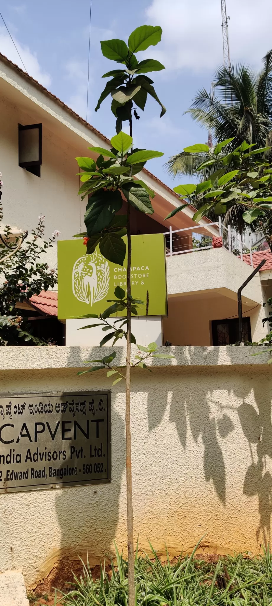 Photo of A Pre-lockdown Discovery: Champaca Cafe in Bangalore by Nupur