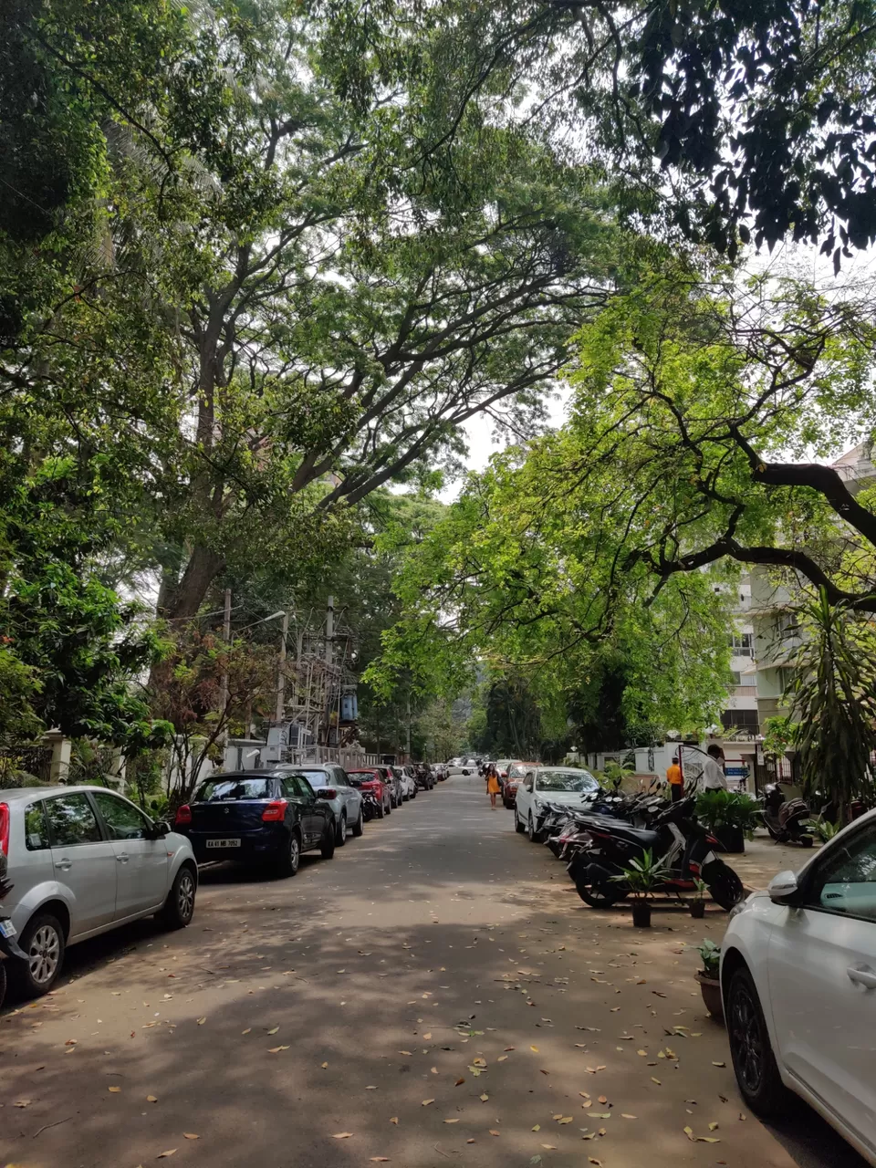 Photo of A Pre-lockdown Discovery: Champaca Cafe in Bangalore by Nupur