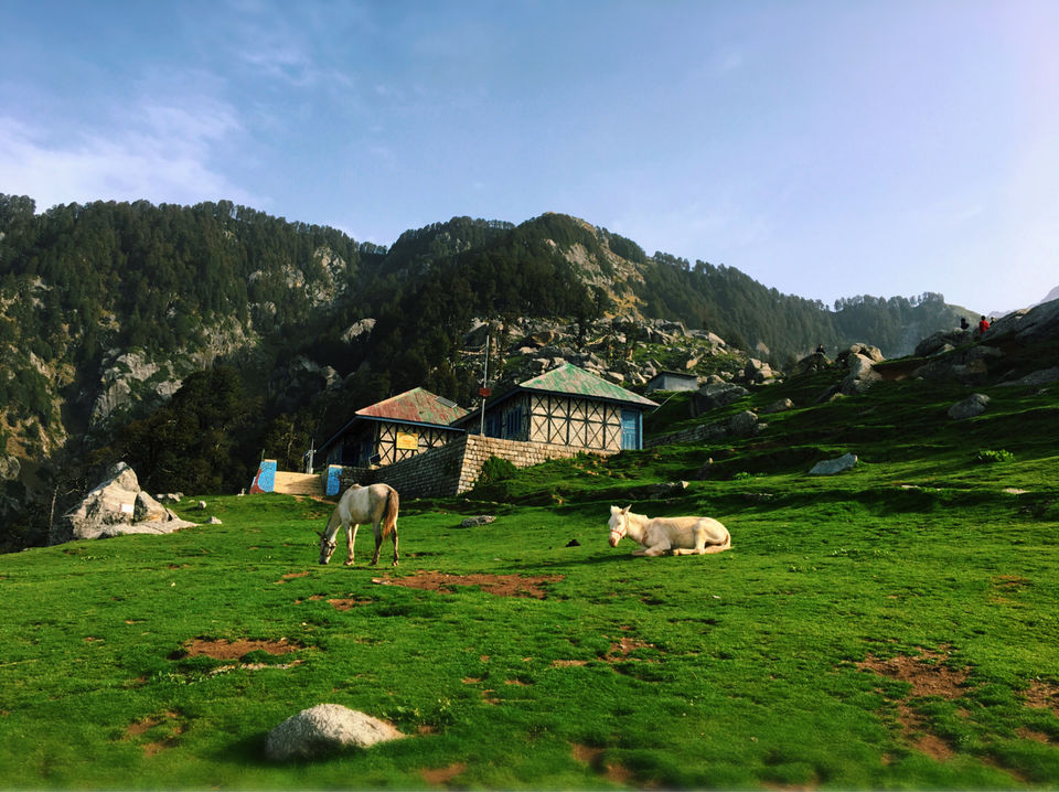 Photo of How To Do Triund In A Day 1/3 by Nupur