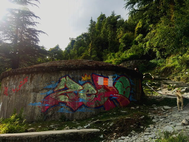 Photo of How To Do Triund In A Day 3/3 by Nupur