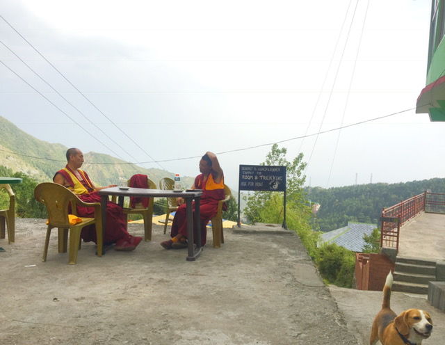 Photo of How To Do Triund In A Day 2/3 by Nupur