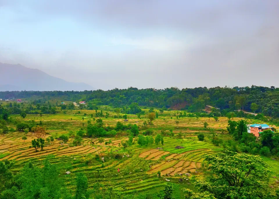 Photo of Palampur, Himachal Pradesh, India by Nupur