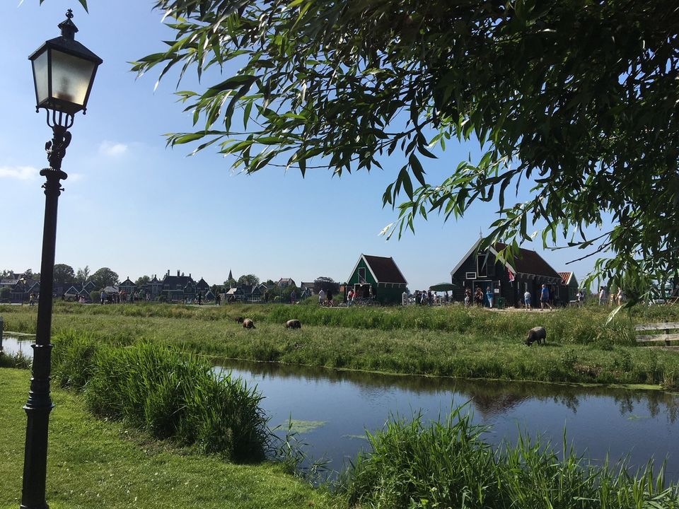 Photo of Where wind creates history & houses sing a thousand tales : Zaanse Schans by Nupur