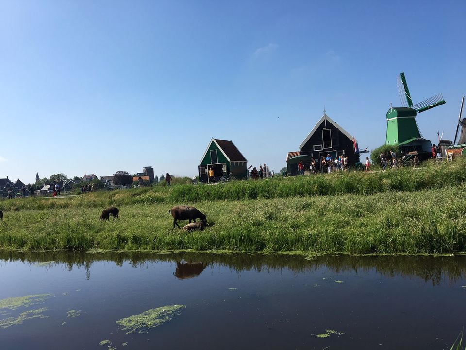 Photo of Where wind creates history & houses sing a thousand tales : Zaanse Schans by Nupur