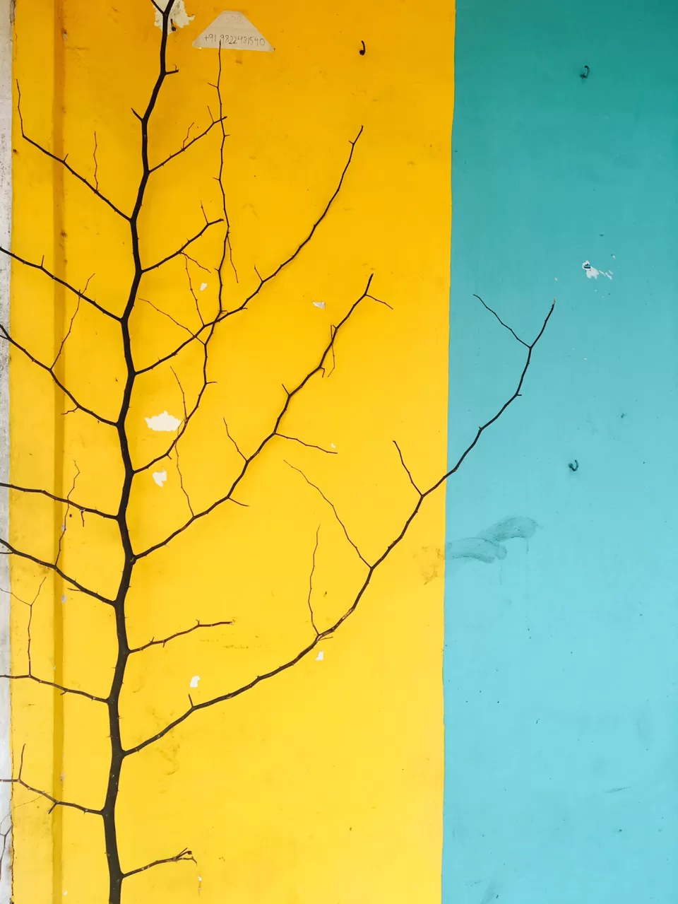 Photo of Calangute, Goa, India by Nupur