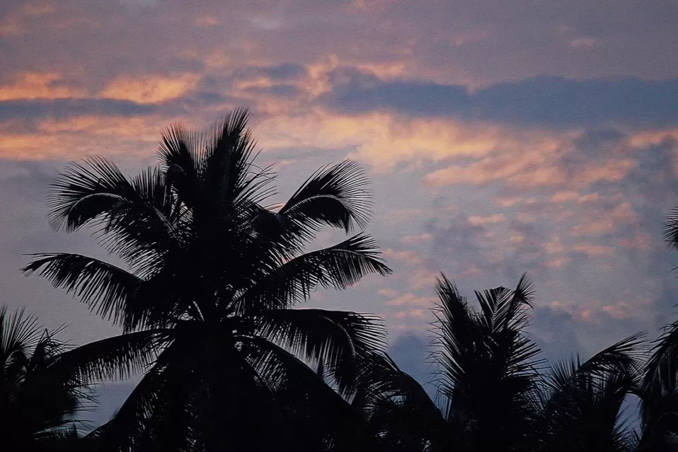 Photo of Arambol Beach, Arambol, Goa by Nupur