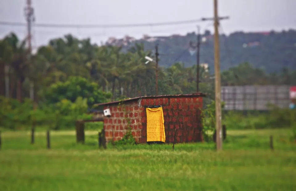 Photo of Arambol Beach, Arambol, Goa by Nupur