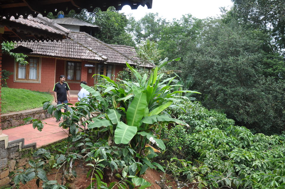 Photo of Why choose homestay over hotel? 2/9 by Purnima Manhas