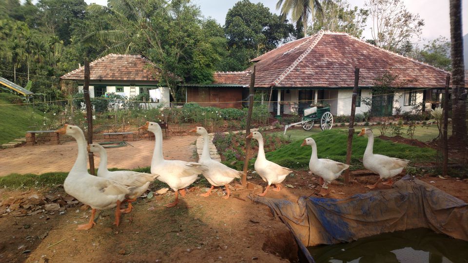 Photo of Why choose homestay over hotel? 4/9 by Purnima Manhas