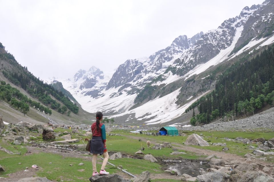 Photo of Sonamarg- What makes it special? 2/7 by Purnima Manhas