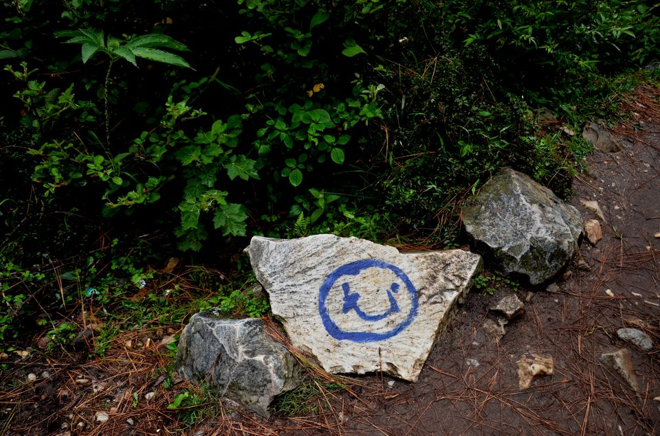 Photo of Trance, weed and alcohol – Kasol, HP 175105 1/19 by shilpi siwach