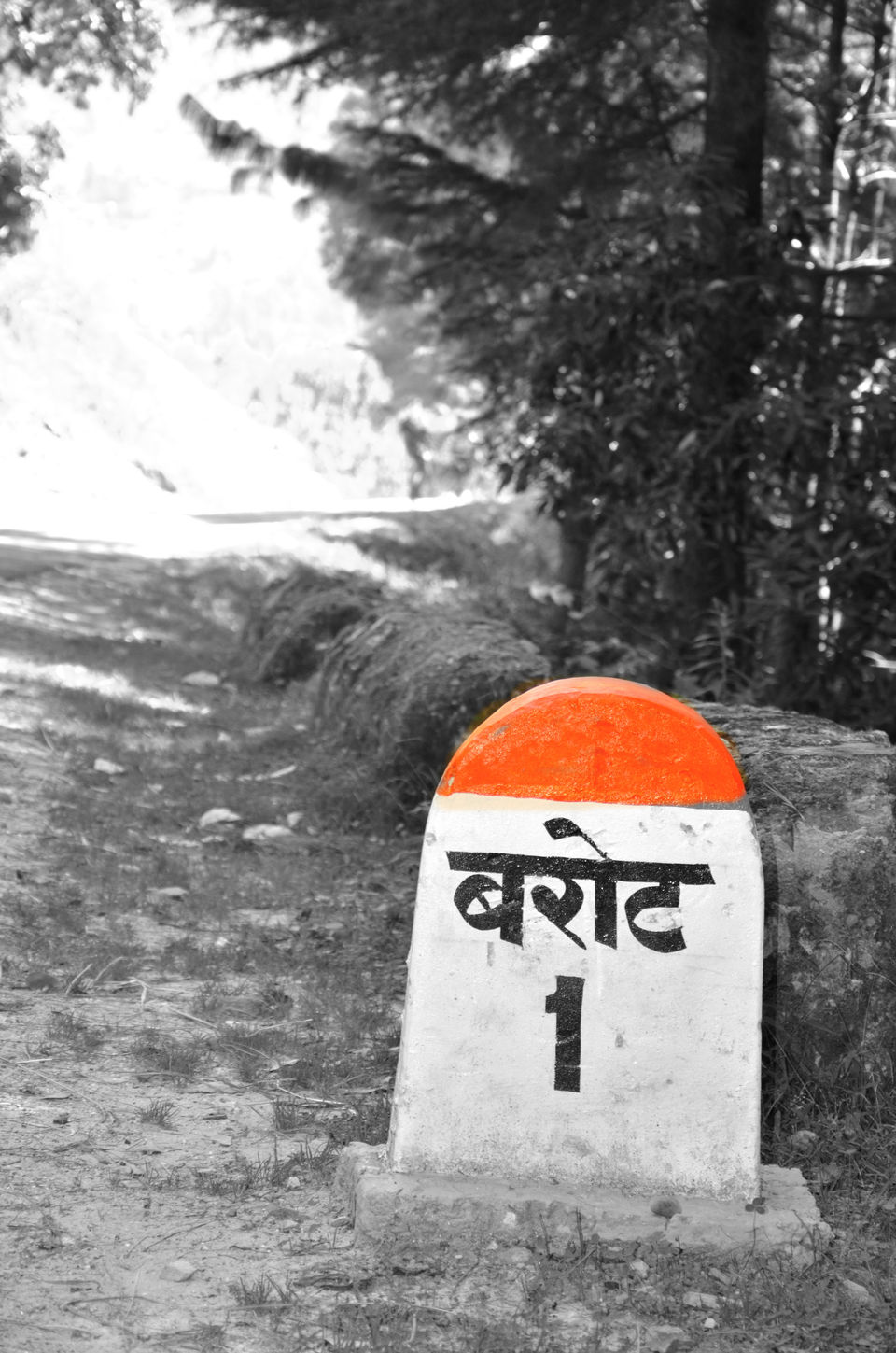 Photo of Barot – The Unexplored Valley in Himachal 1/40 by shilpi siwach