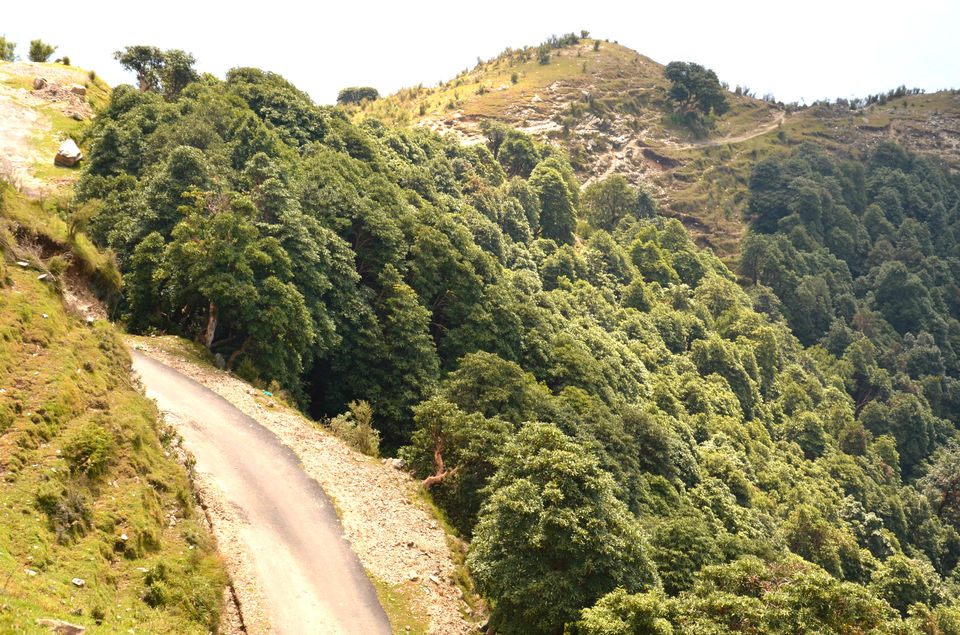 Photo of Barot – The Unexplored Valley in Himachal 2/40 by shilpi siwach