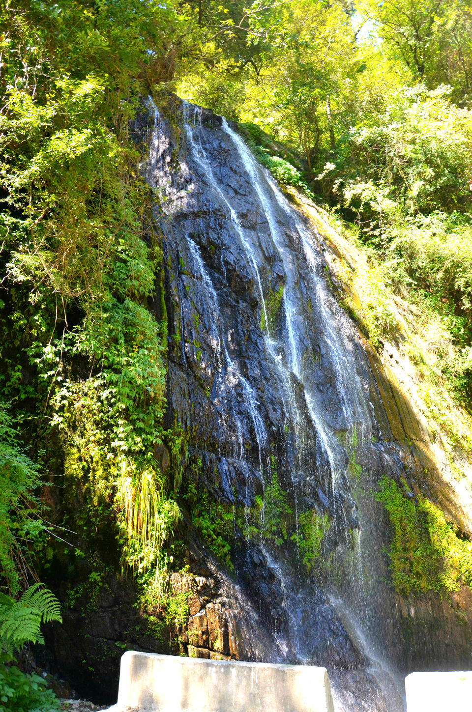 Photo of Barot – The Unexplored Valley in Himachal 3/40 by shilpi siwach