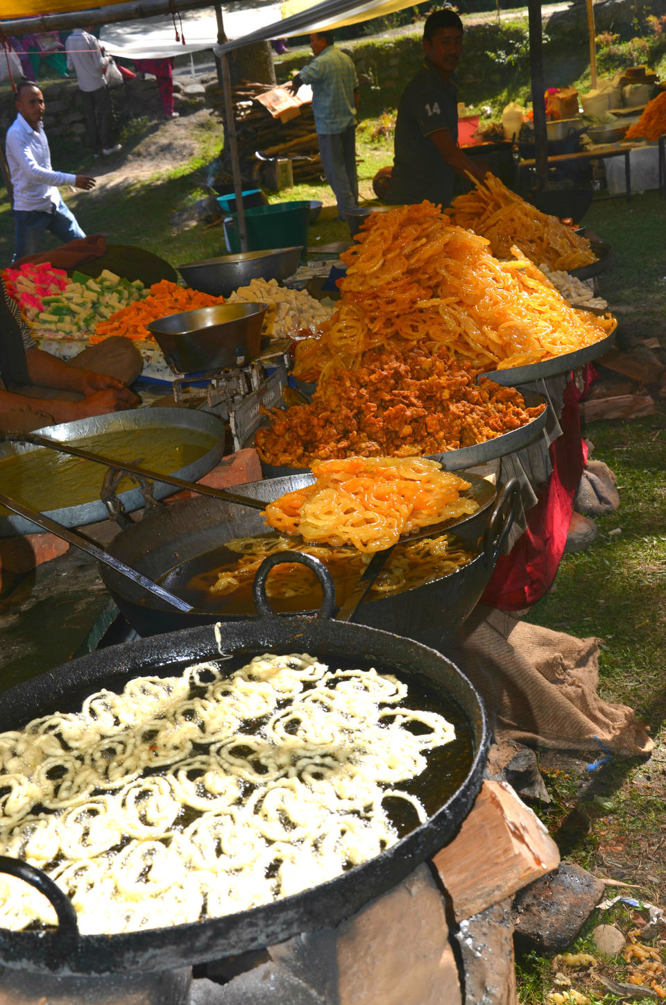 Photo of Barot – The Unexplored Valley in Himachal 12/40 by shilpi siwach