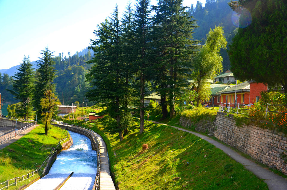 Photo of Barot – The Unexplored Valley in Himachal 21/40 by shilpi siwach