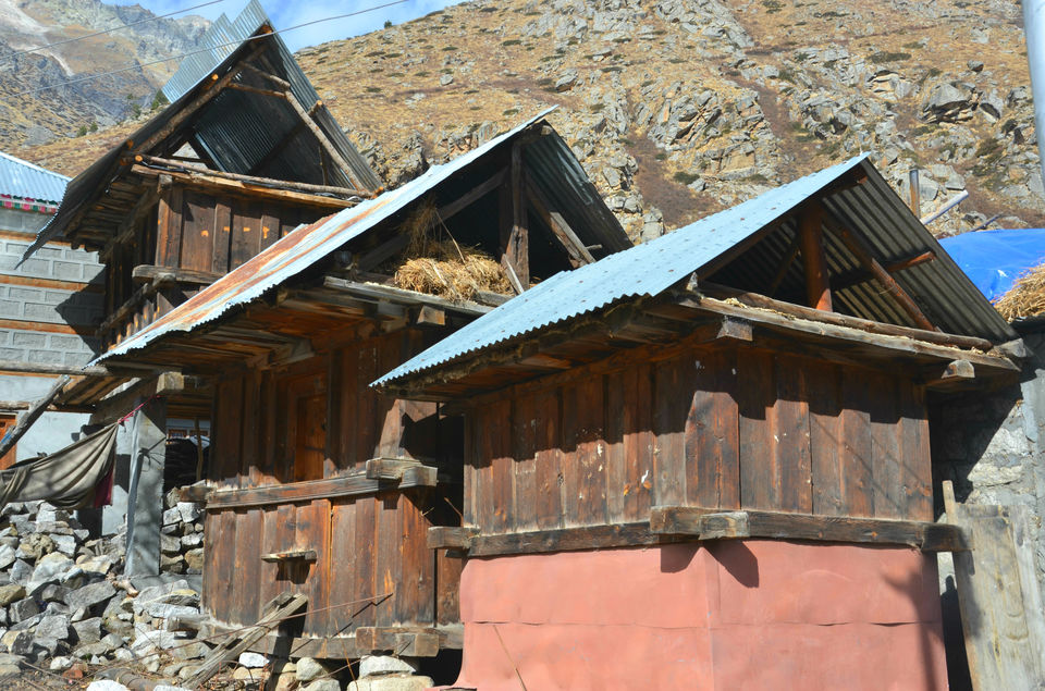 Photo of Chitkul - the last Indian village before Tibet 7/13 by shilpi siwach
