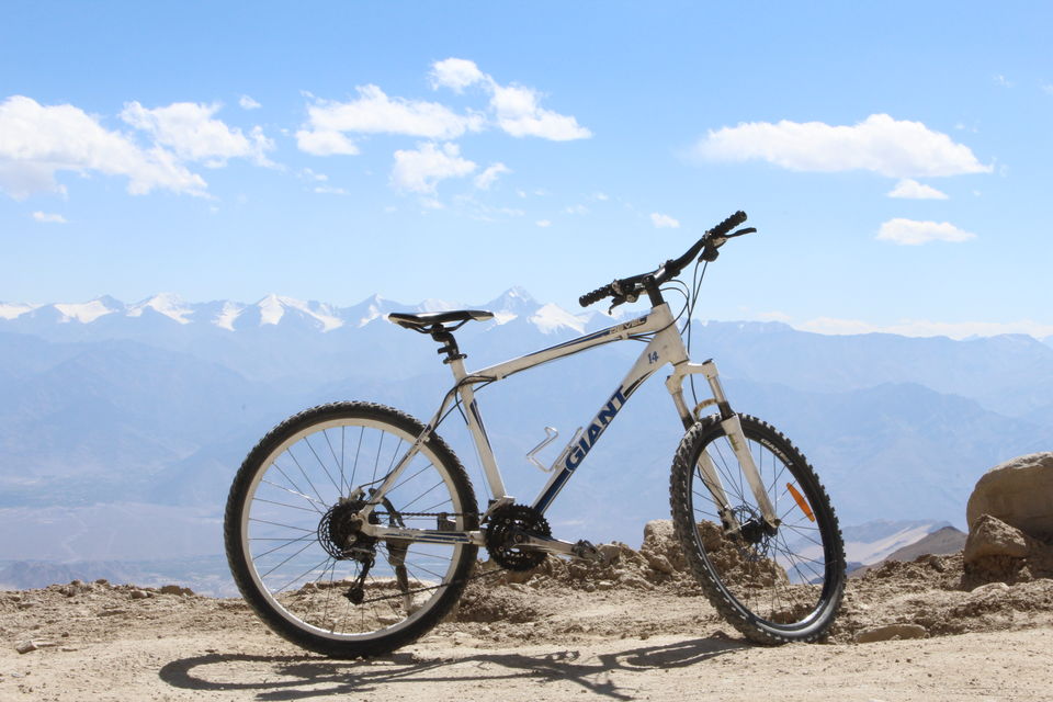 Photo of When you cycle from Leh to KhardungLa and return home with a chabootara (flat arse) by shilpi siwach