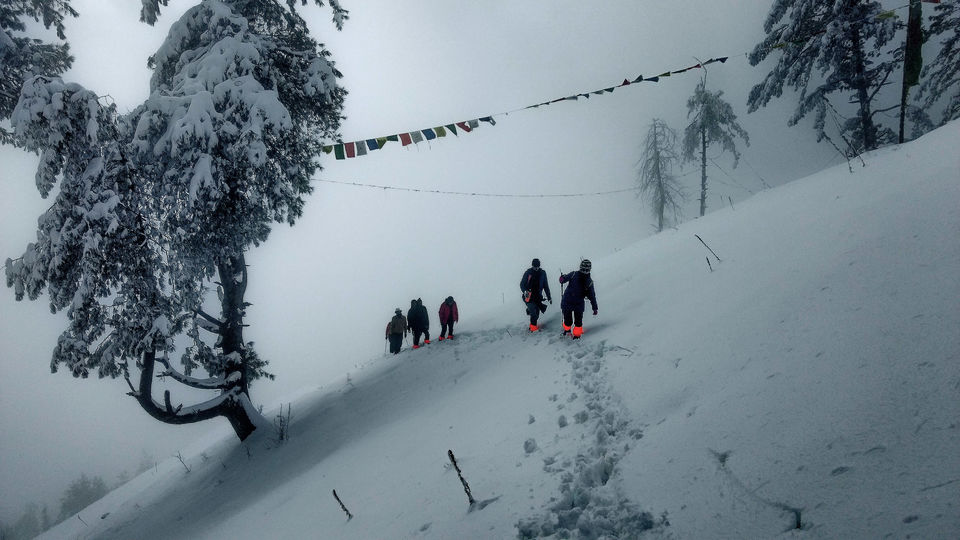 Photo of 5 Reasons why Giri Kuppar is better than common winter treks 1/5 by shilpi siwach