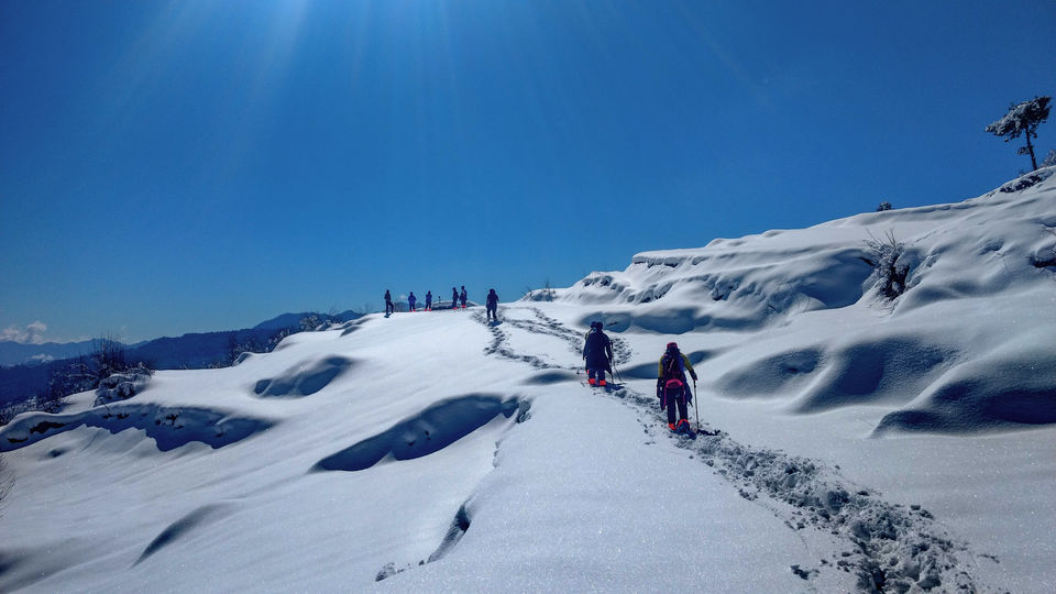 Photo of 5 Reasons why Giri Kuppar is better than common winter treks 2/5 by shilpi siwach