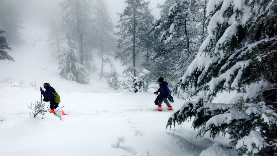 Photo of 5 Reasons why Giri Kuppar is better than common winter treks 3/5 by shilpi siwach