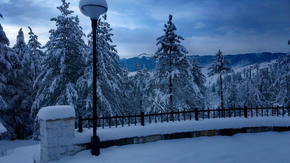 Photo of 5 Reasons why Giri Kuppar is better than common winter treks 4/5 by shilpi siwach