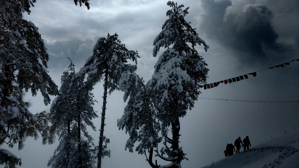 Photo of 5 Reasons why Giri Kuppar is better than common winter treks 5/5 by shilpi siwach
