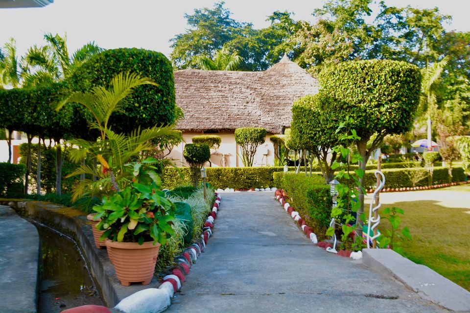 Photo of Corbett Fun Resort: The Perfect Abode Amidst The Forest by shilpi siwach