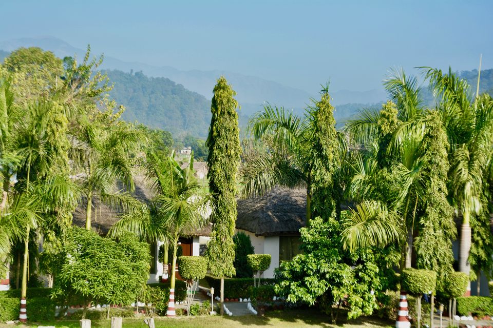 Photo of Corbett Fun Resort: The Perfect Abode Amidst The Forest by shilpi siwach