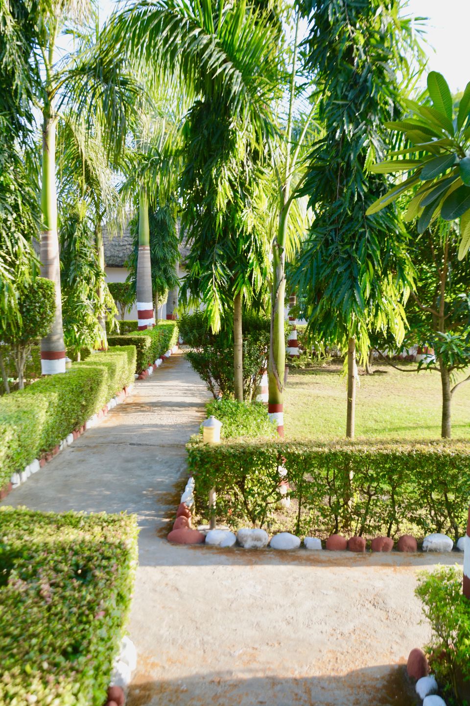 Photo of Corbett Fun Resort: The Perfect Abode Amidst The Forest by shilpi siwach